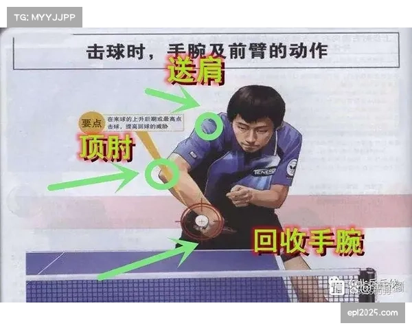 旋转数据解读：为何女子乒坛“反手相持”成为战术主流